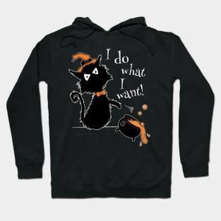 Funny Halloween Black Cat Saying I Do What I Want Hoodie